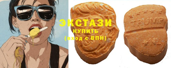 МДПВ Туринск