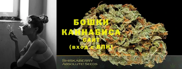 мдпв Тутаев