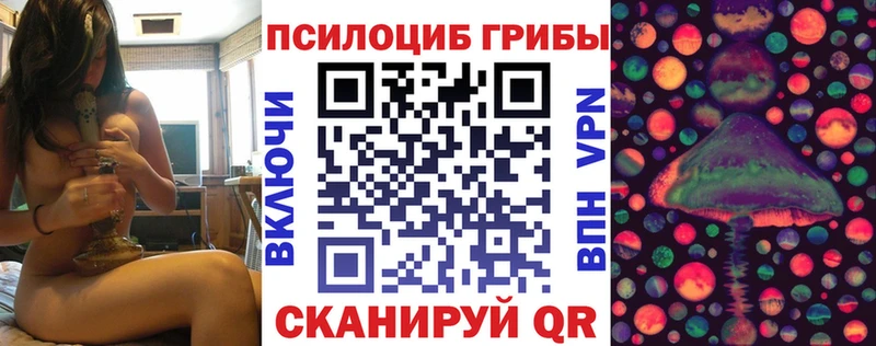 KRAKEN ССЫЛКА  где можно купить   Владивосток  Галлюциногенные грибы Psilocybine cubensis 